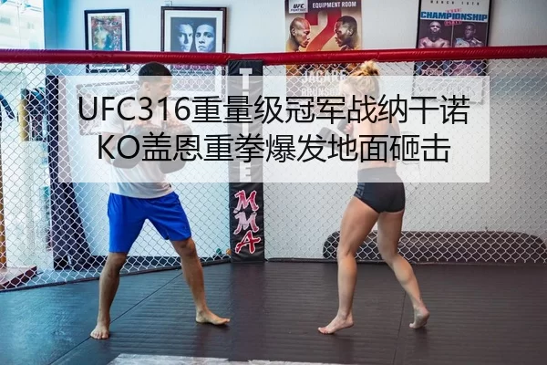 UFC316重量级冠军战纳干诺KO盖恩重拳爆发地面砸击